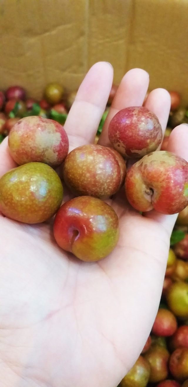 Mỗi đợt hàng về, cô Sang chỉ bán trong vòng buổi sáng là hết. Nhiều khách hàng của cô Sang còn đặt mận hậu Sơn La loại vip làm quà biếu tận trong miền Nam. Ảnh: Facebook.