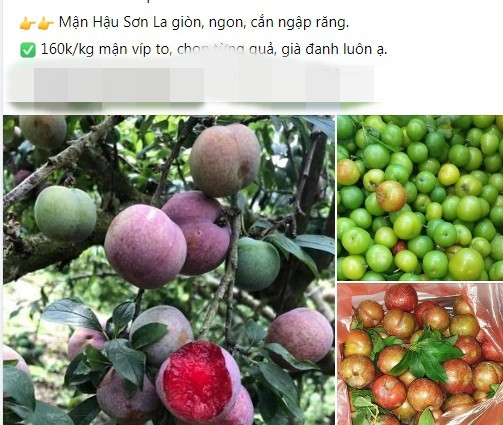Trên chợ mạng, mận hậu Sơn La cũng được rao bán khắp hội, nhóm. Giá dao động từ 100.000 - 160.000 đồng/kg, tùy loại. Ảnh chụp màn hình.