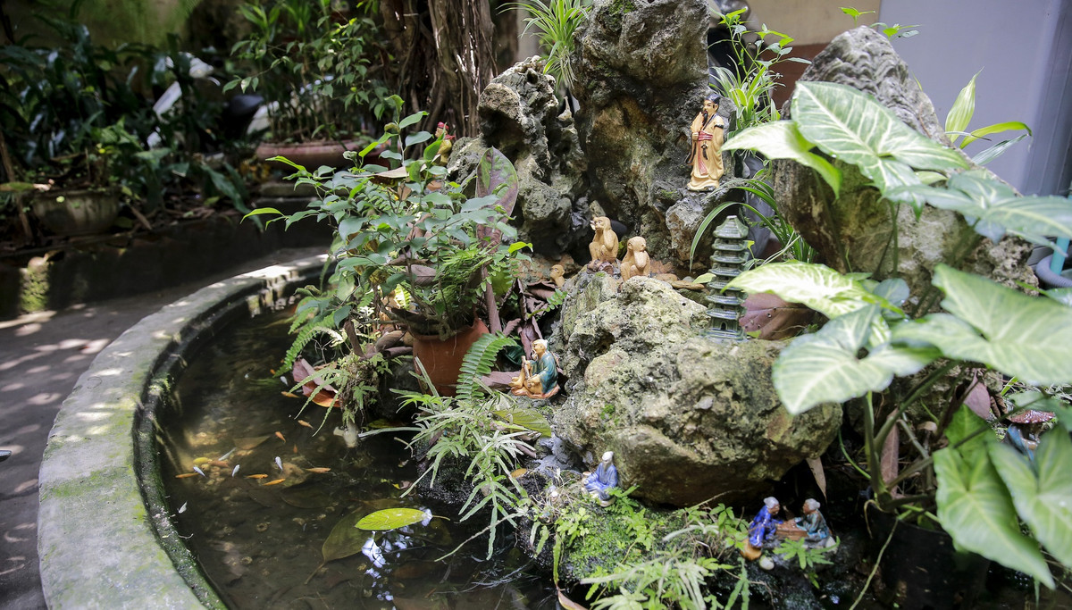 Giữa sân vườn là bể cá và các tiểu cảnh. Ảnh: Dân Việt