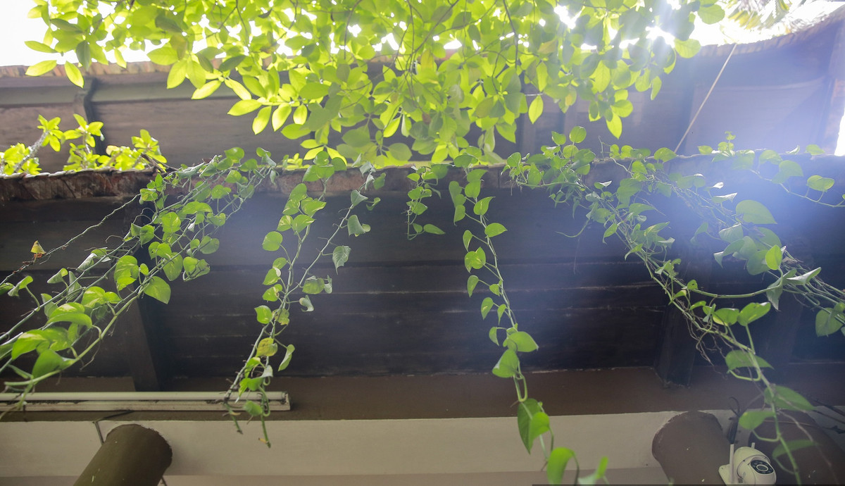 Có người đã trả giá 180 tỷ đồng để mua lại căn nhà này nhưng tất cả mọi người đều thống nhất không bán. Ảnh: Dân Việt