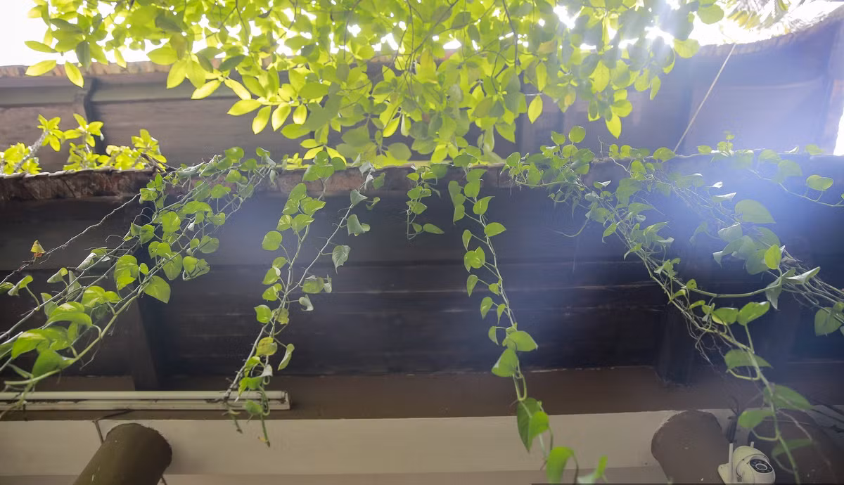 Có người đã trả giá 180 tỷ đồng để mua lại căn nhà này nhưng tất cả mọi người đều thống nhất không bán. Ảnh: Dân Việt