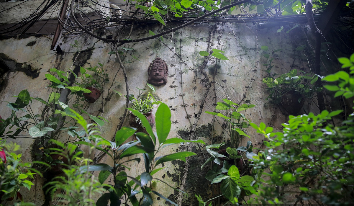 Sau cánh cổng, một khu vườn hiện ra với cây cối xanh tươi, chim hót líu lo, bỏ lại sau lưng những ồn ào của phố thị. Ảnh: Dân Việt