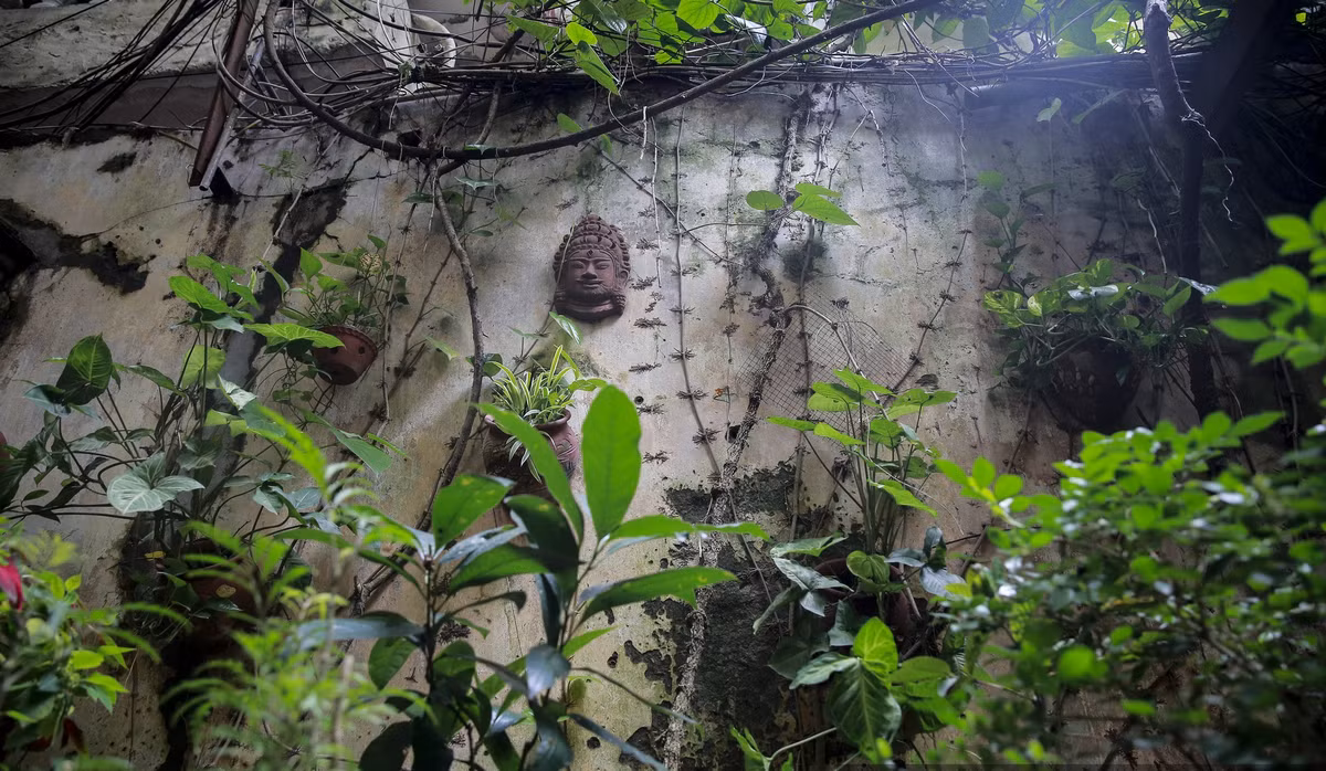 Sau cánh cổng, một khu vườn hiện ra với cây cối xanh tươi, chim hót líu lo, bỏ lại sau lưng những ồn ào của phố thị. Ảnh: Dân Việt