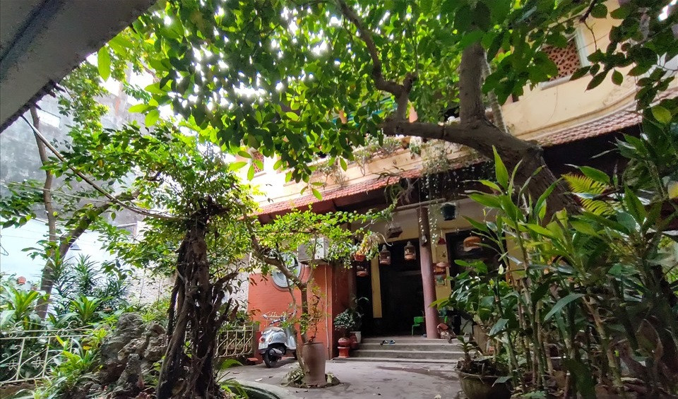 Theo ông Phạm Ngọc Hải (74 tuổi) - con trai út của vợ chồng cụ Phạm Văn Thanh - Phạm Thị Tề, sau nhiều lần vật đổi sao dời, khu nhà vườn tổng diện tích gần 600m2 nay chỉ còn gần 300m2. Ảnh: Lao động