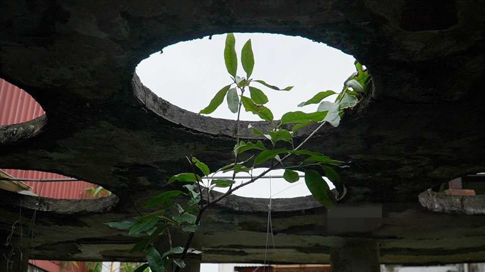 Tại khu vực ban công có chín giếng trời lấy ánh sáng. Ảnh: Lao động