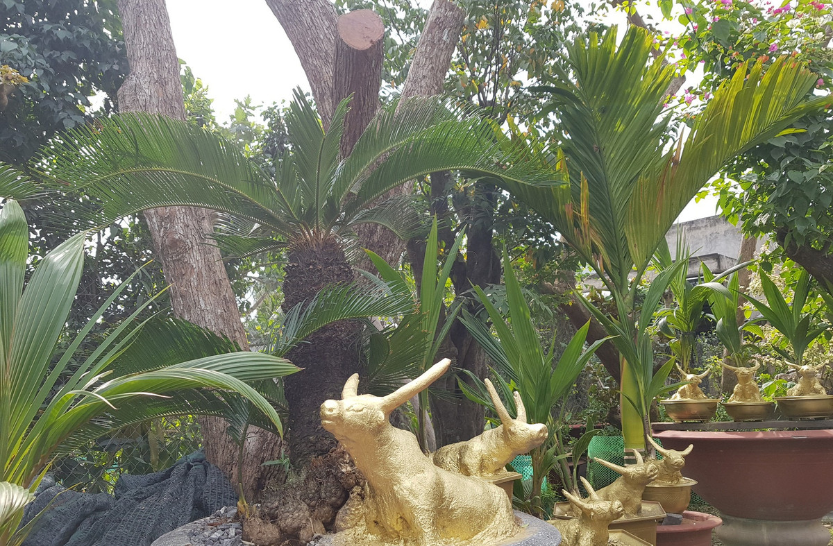 Các sản phẩm có ý nghĩa mang lại tài lộc, thịnh vượng trong năm mới. Ảnh: Dân Việt.