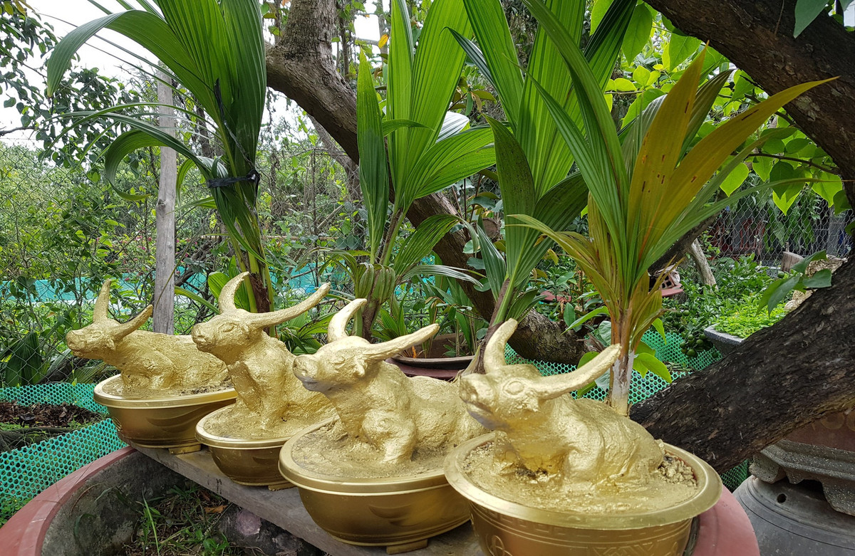 Sản phẩm "trâu vàng cõng dừa" độc đáo ở huyện Chợ Lách, tỉnh Bến Tre. Ảnh: Dân Việt.