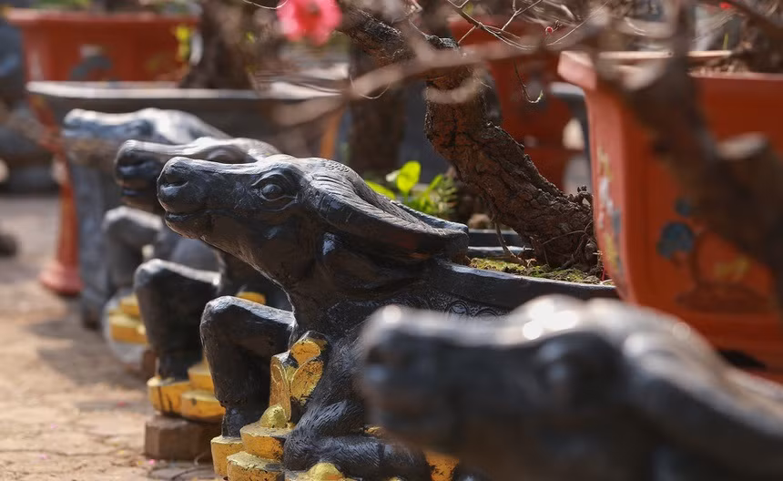 Mỗi chậu trâu ôm tiền vàng "cõng" bích đào có giá trung bình từ 2 - 2,5 triệu đồng. Ảnh: Zing.