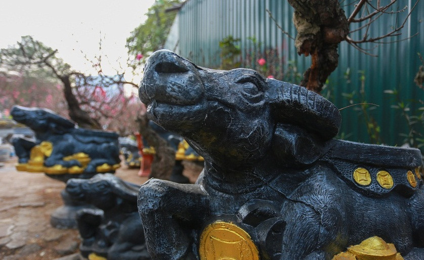 Bích đào cổ đựng trong chậu hình con trâu ôm tiền vàng là sản phẩm hút khách trong năm nay của anh Phạm Văn Quân, chủ vườn ở phường Phú Thượng (quận Tây Hồ). Ảnh: Zing.