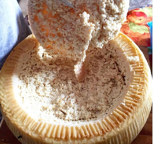 Giá chợ đen của Casu Marzu có thể gấp đôi các loại phô mai địa phương thông thường khác. Ảnh: Gourmio.