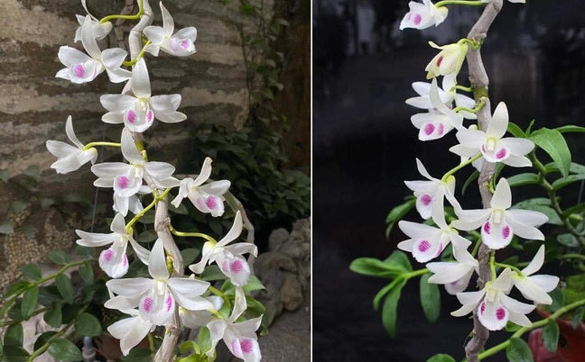 Lan dot bien tram ty: Bao vu nao loan thi truong... coi chung sap bay?-Hinh-3