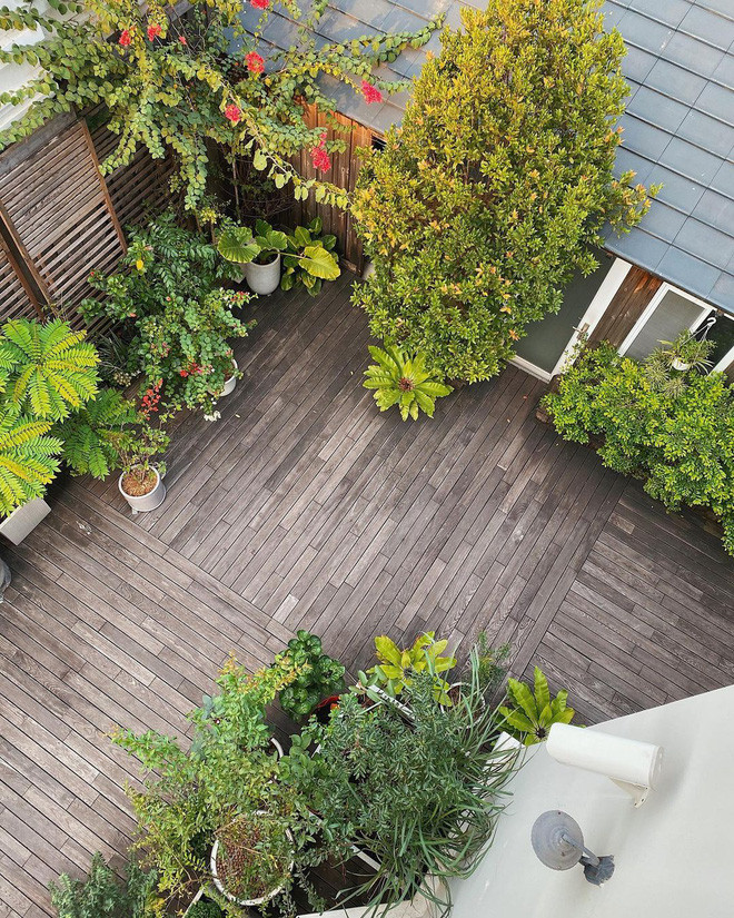 Biệt thự có sân vườn rộng lớn trồng nhiều cây xanh. Ảnh: Zing.