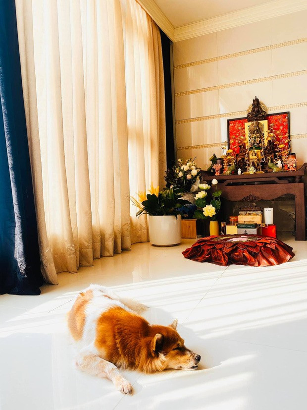 Khánh Vân còn nuôi một chú chó cho đỡ buồn. Ảnh: Lao động