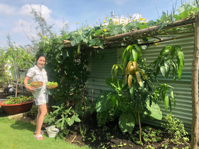 Nữ diễn viên hào hứng khoe vườn rau trong nhà. Nguồn ảnh: FBNV.