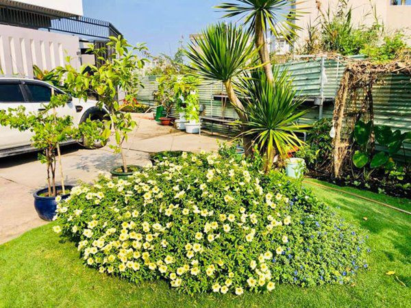 Ngoài hoa hồng, trong khuôn viên nhà Ốc Thanh Vân còn có vườn cây xanh mướt và khoảng sân vui chơi thoáng mát cho các con.