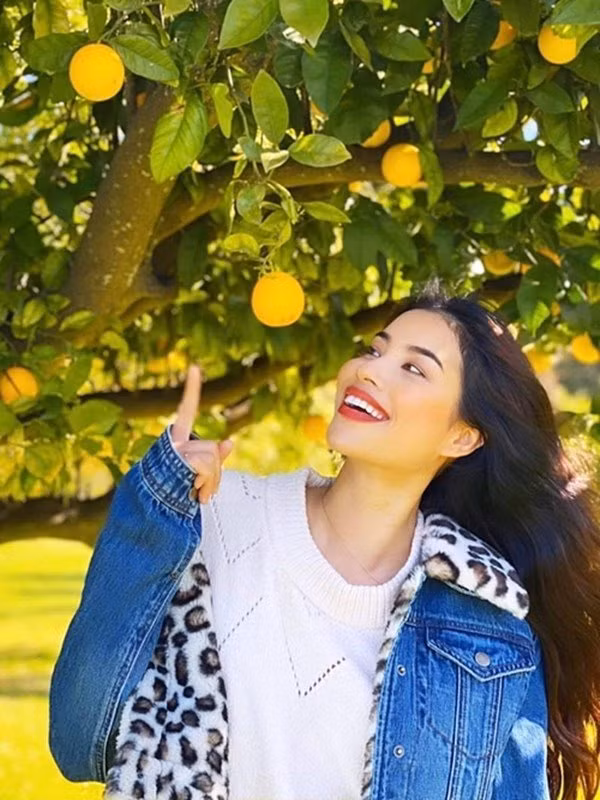 Sau khi sang Mỹ, Hoa hậu Phạm Hương đã sinh con trai đầu lòng. Ngoài thời gian làm người mẫu ảnh cho một vài thương hiệu, kinh doanh, Phạm Hương còn tự tay trồng các loại rau, quả trong vườn.