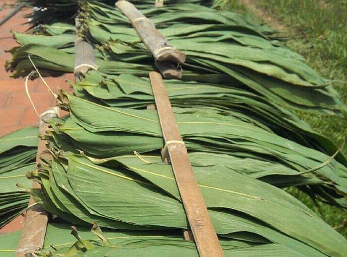 Thế nhưng ở một vùng của Hà Nội, lá tre lại trở thành mặt hàng xuất khẩu, đem lại thu nhập khả quan cho người dân. Ảnh: Facebook.