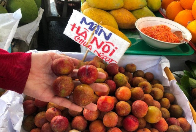 Tại TP HCM, giá mận Hà Nội giá chỉ từ 40.000-50.000 đồng/kg, bằng một nửa so với mận đầu mùa năm ngoái. Giá bán sau khoảng từ 1-2 ngày lại được điều chỉnh giảm từ 10.000 - 20.000 đồng/kg. Ảnh: Tiền phong