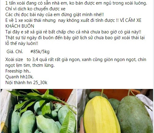 Trên “chợ mạng” thay vì bán theo cân như trước kia, xoài giờ được bán theo set vài cân hoặc bán theo thùng. Ảnh chụp màn hình.