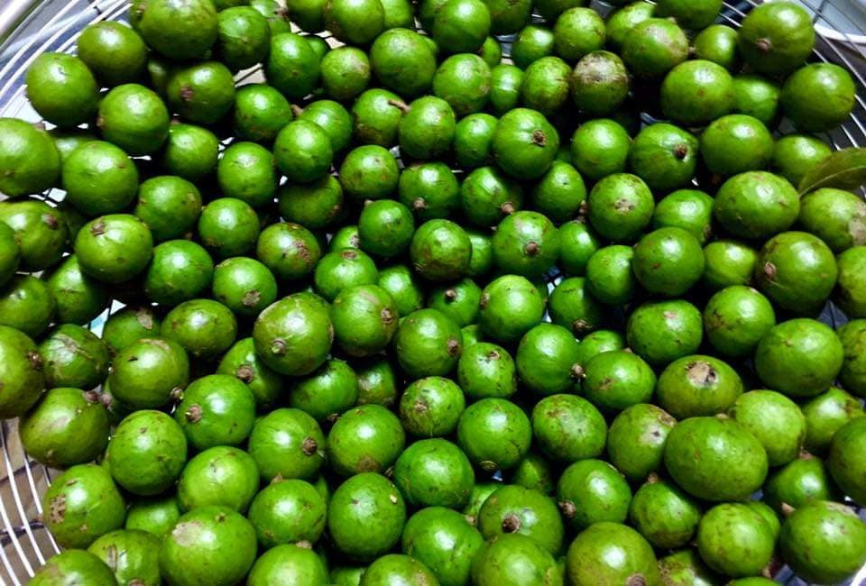 Nếu như mọi năm, sấu non đầu mùa có giá 55.000 - 70.000 đồng/kg, thì năm nay giá chỉ còn khoảng 40.000 đồng/kg. Khách mua 2kg giá chỉ còn 75.000 đồng. Ảnh: Facebook