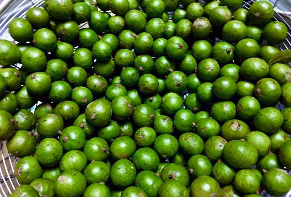 Nếu như mọi năm, sấu non đầu mùa có giá 55.000 - 70.000 đồng/kg, thì năm nay giá chỉ còn khoảng 40.000 đồng/kg. Khách mua 2kg giá chỉ còn 75.000 đồng. Ảnh: Facebook