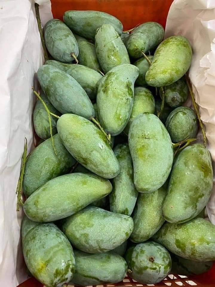 Các đầu mối bán buôn cho biết, hiện xoài Việt giá rẻ như rau, bán lẻ từng cân thì tiền ship đắt hơn tiền xoài. Vì thế, họ chuyển qua bán theo set vài cân hoặc bán theo thùng cho tiện. Ảnh: Facebook.