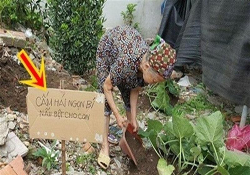 Thông báo rõ ràng như thế này đố ai dám lấy trộm. Ảnh: Tintuconline