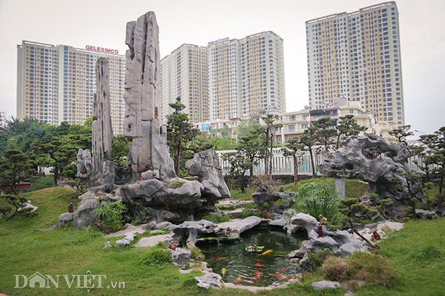 Ông Nguyễn Trọng Thành sở hữu khu vườn “Thành Công Kỳ Viên” rộng hơn 2.000m2 (ở Yên Duyên, Yên Sở, Hà Nội) với hơn 200 cây cảnh nghệ thuật thuộc hàng quý hiếm ở Việt Nam. Ảnh: Dân Việt.