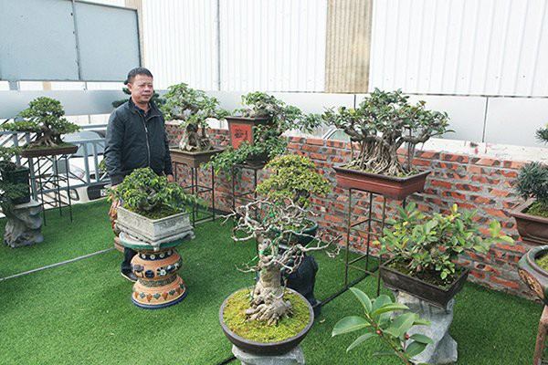 Anh Hiệp cho biết chơi cây cảnh được 30 năm nay, không tính tiền đất thì riêng tiền đầu tư cây cảnh đã lên đến 10 tỷ đồng. Ảnh: Khám phá.