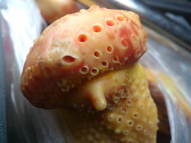 5 loai thit them den may cung khong duoc an, can than “don” them benh