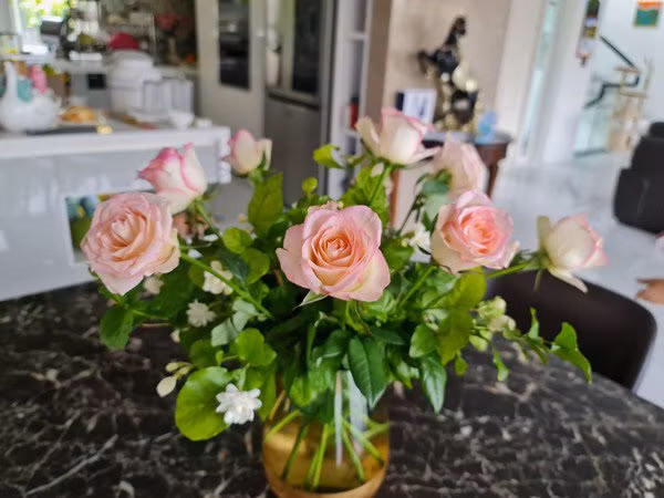 Khi hoa nở rộ, cựu siêu mẫu Vũ Thu Phương cắt một ít để cắm trong nhà giúp không gian thêm tươi mới.