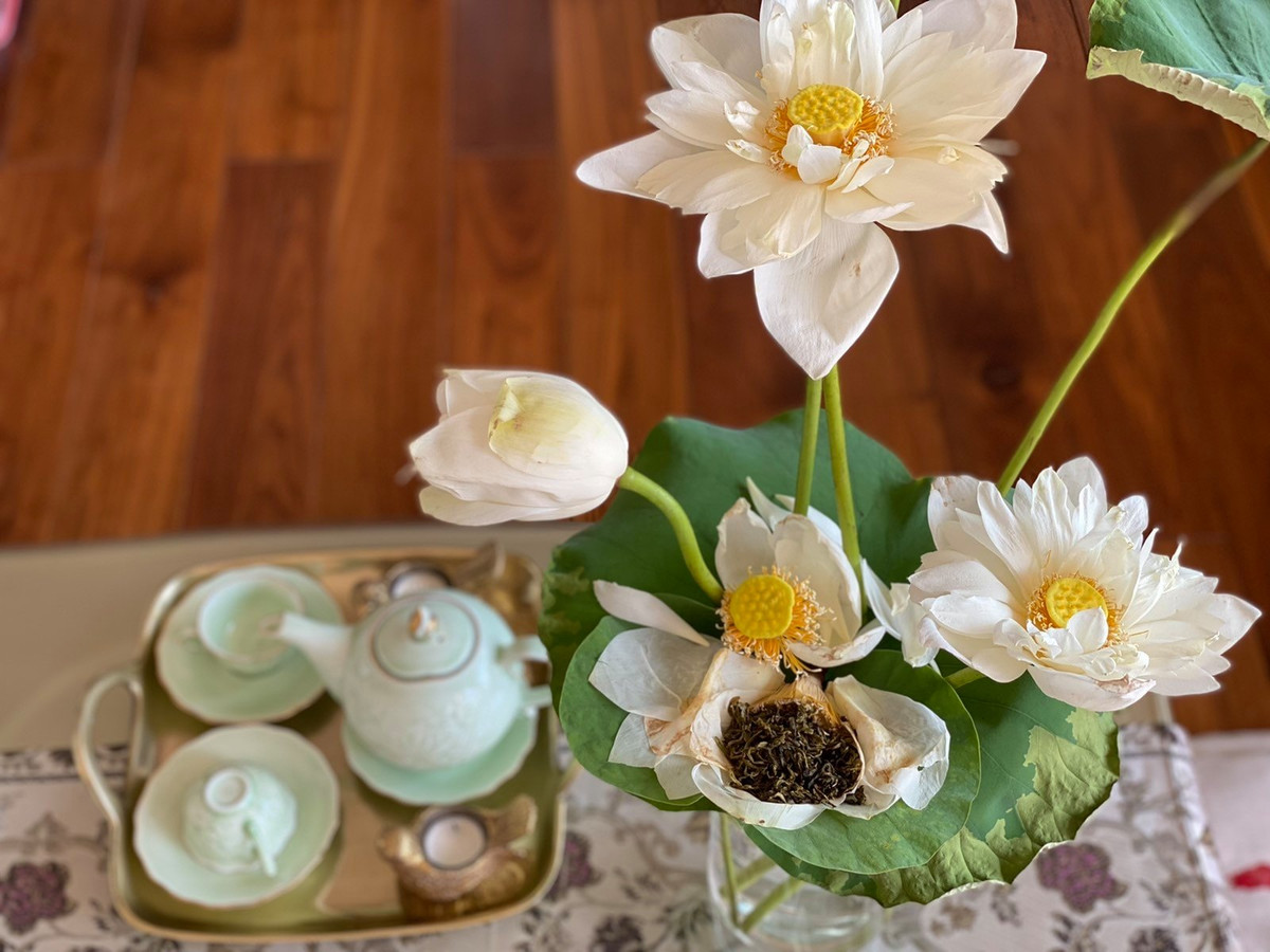 Hoa sen được người đẹp hái từ hồ sen trong nhà.