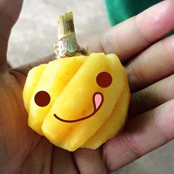 Năm ngoái, dứa mini cả vỏ giá 100.000 – 110.000 đồng/kg, gọt sẵn là 140.000 - 160.000 đồng/kg. Dứa có hương thơm lừng hấp dẫn, vị ngọt như thêm mật. Ảnh: Facebook