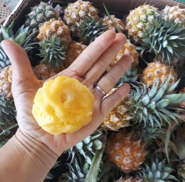 Dứa mini Thái Lan xuất hiện trên thị trường cũng khiến nhiều chị em tò mò, thích thú. Loại dứa này chỉ bằng một quả táo và thậm chí khi gọt hết vỏ thì lọt thỏm trong lòng bàn tay. Ảnh: Facebook