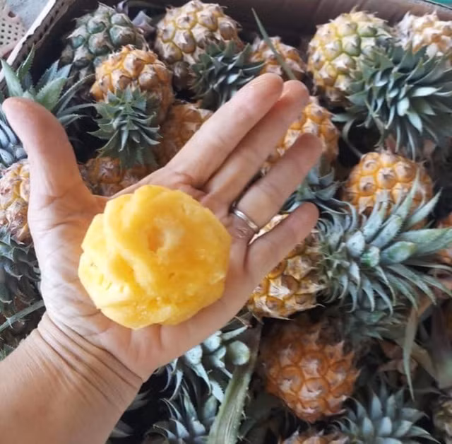 Dứa mini Thái Lan xuất hiện trên thị trường cũng khiến nhiều chị em tò mò, thích thú. Loại dứa này chỉ bằng một quả táo và thậm chí khi gọt hết vỏ thì lọt thỏm trong lòng bàn tay. Ảnh: Facebook