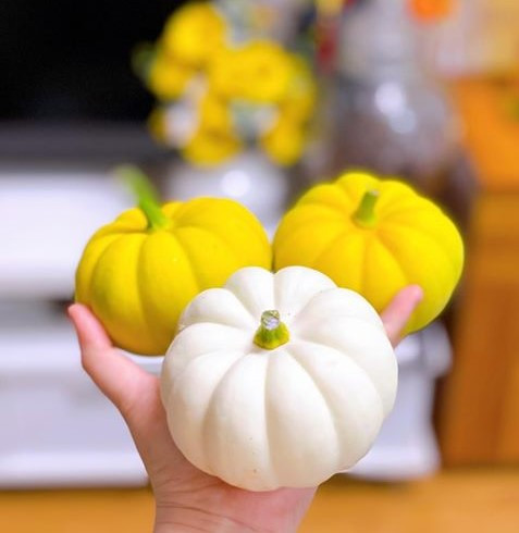 Loại quả tí hon này có giá bán từ 35.000 - 49.000 đồng một trái (tùy kích cỡ). Ảnh: Nongsanlangbiang.