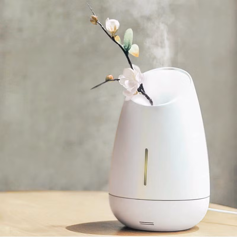 Ngoài ra, có thể sử dụng máy khuếch tán tinh dầu với sự đa dạng mùi hương, phù hợp với tất cả mọi người. Nguồn ảnh: Getty Image