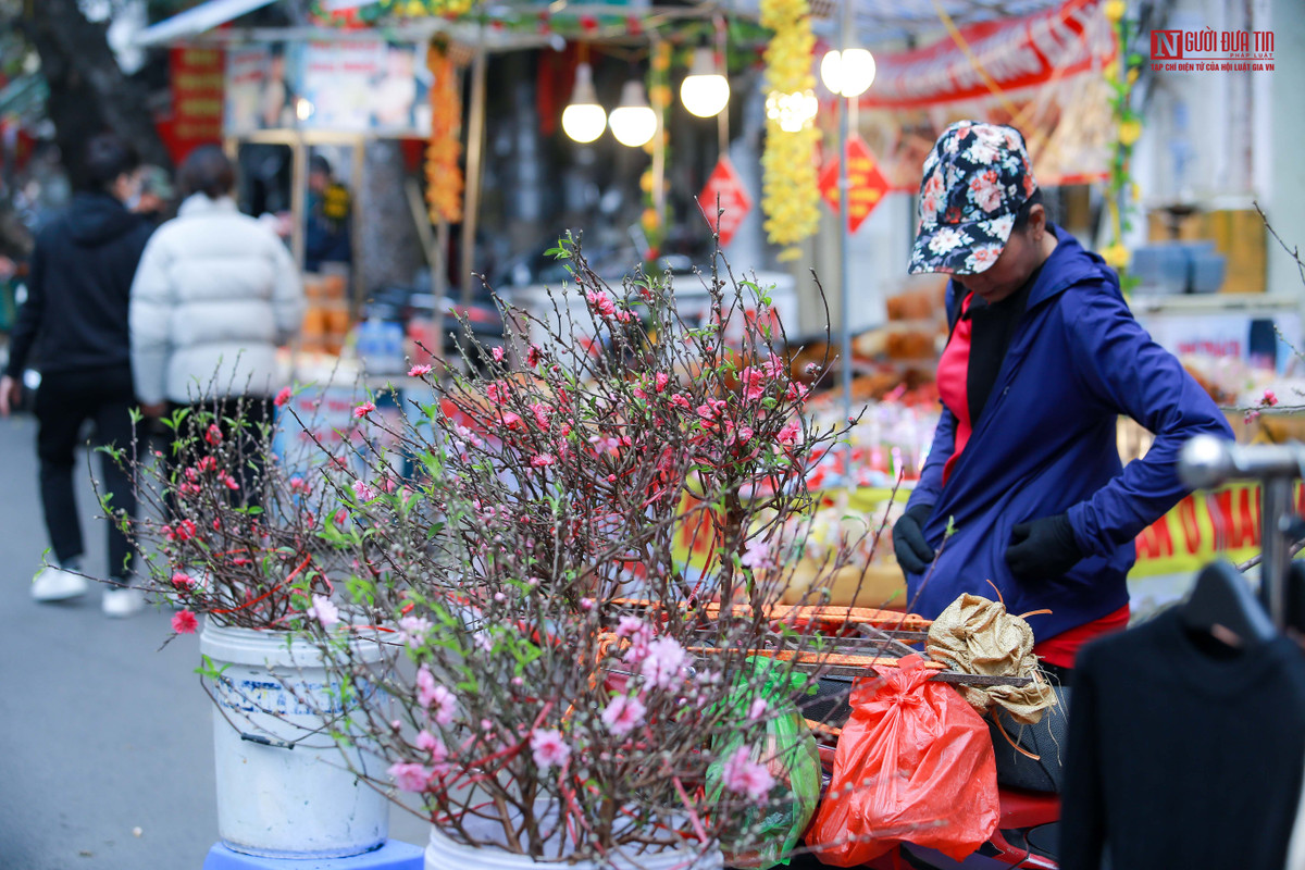 Những cành đào vẫn cắm ở đó nhiều giờ liên vẫn không có người hỏi mua.