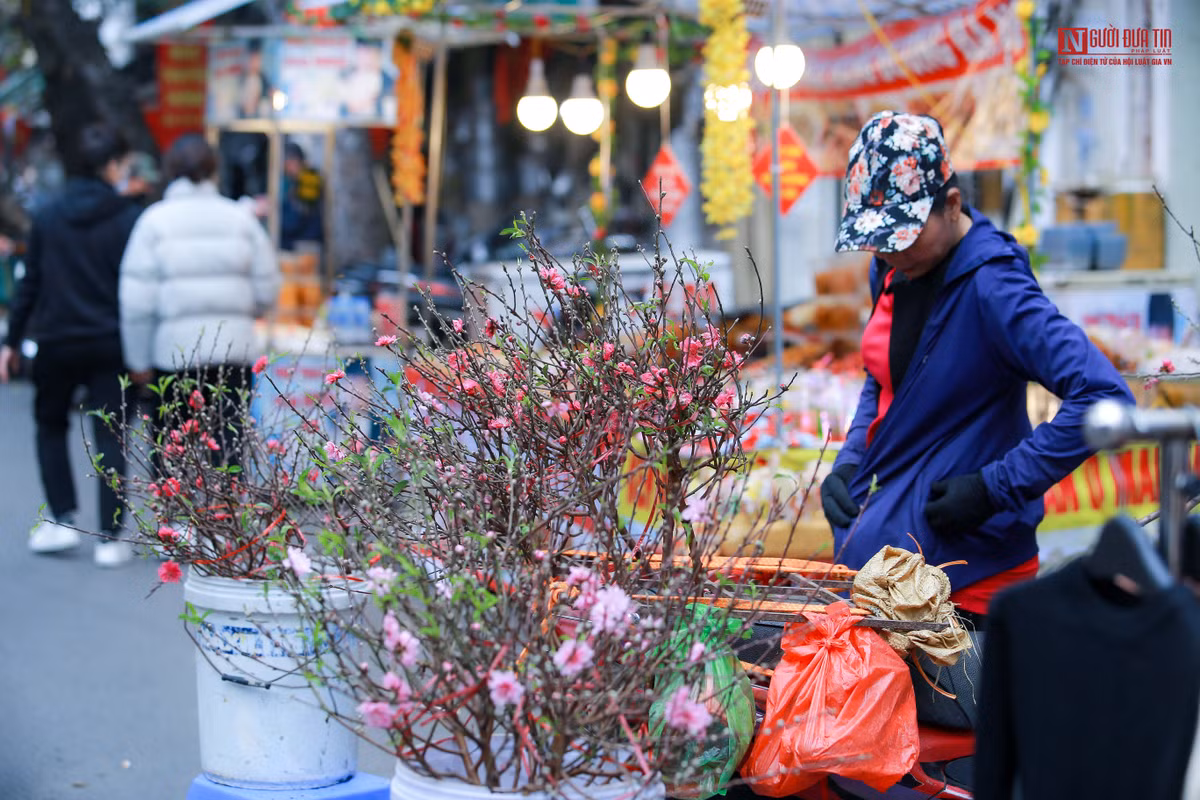 Những cành đào vẫn cắm ở đó nhiều giờ liên vẫn không có người hỏi mua.