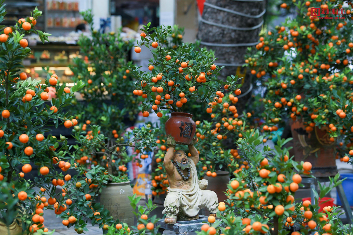 Khác với cảnh tượng đông đúc mọi năm tại chợ hoa Hàng Lược những ngày giáp tết thì năm nay khu chợ rơi vào tình trạng ế ẩm, không còn cảnh chen chúc và không khí náo nhiệt như mọi năm.