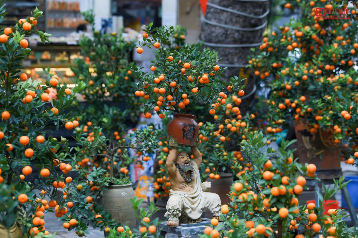 Khác với cảnh tượng đông đúc mọi năm tại chợ hoa Hàng Lược những ngày giáp tết thì năm nay khu chợ rơi vào tình trạng ế ẩm, không còn cảnh chen chúc và không khí náo nhiệt như mọi năm.