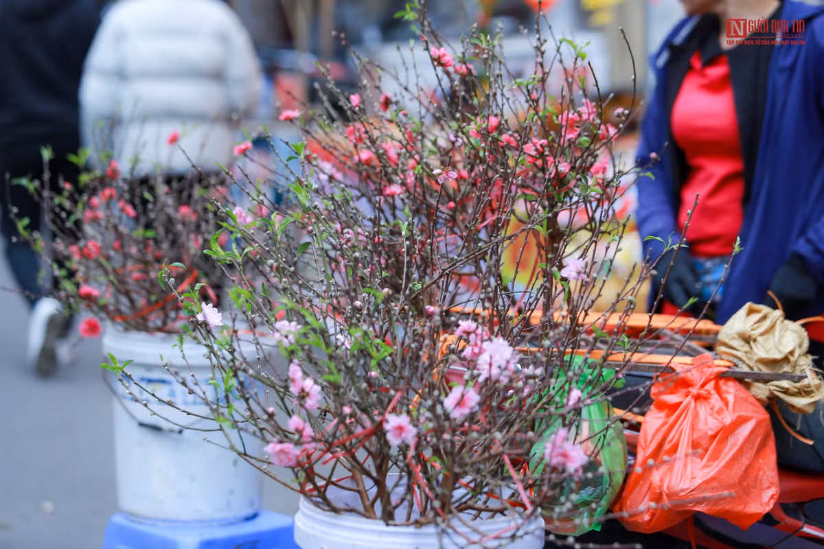 Trước tình trạng này, nhiều tiểu thương tâm sự có nguy cơ mất Tết vì mới những ngày đầu đã ế khách, cùng với đó là hàng loạt tin không vui về tình hình dịch COVID-19 ở Thủ đô.