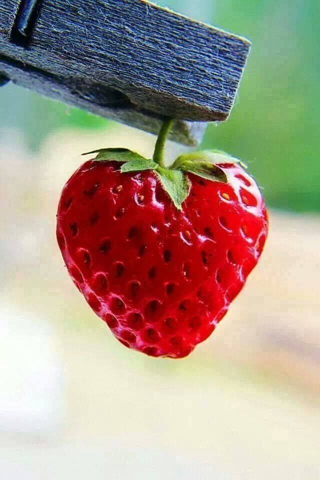 Một trái dâu tây hình tim đáng yêu với vỏ đỏ, cuống xanh. Ảnh: Pinterest