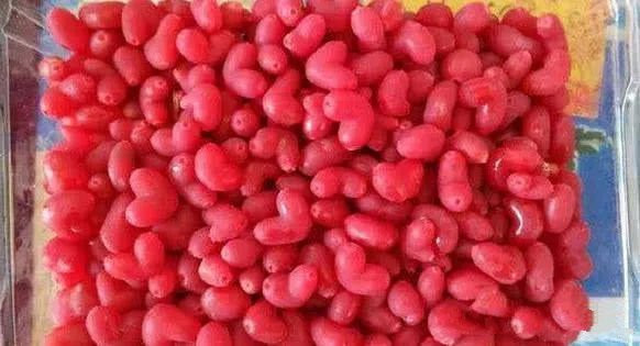 Quả tương tư không chỉ ngọt, thơm mà thịt quả cũng rất mềm, mọng. Do vẻ ngoài đặc biệt và giá trị dinh dưỡng phong phú mà quả tương tư có giá khá cao 40 nhân dân tệ (khoảng 140.000 đồng) cho nửa kg. Ảnh: Sohu