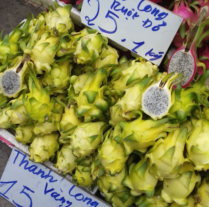 Tuy nhiên, từ năm ngoái đến nay, thanh long vàng liên tục phải xuống lề đường, bán xổ rẻ. Ảnh: Người lao động