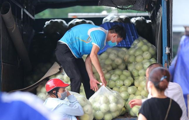 Ngoài dưa hấu, dưa lê cũng được kêu gọi mọi người cùng chung tay hỗ trợ bà con nông dân Bắc Giang. Ảnh: Tiền phong