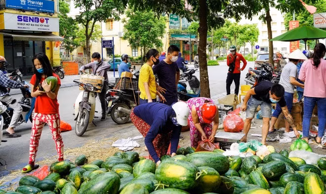 Dưa hấu cũng là một trong những nông sản Bắc Giang được bán nhiều tại các điểm giải cứu ở Hà Nội. Ảnh: Người đưa tin.