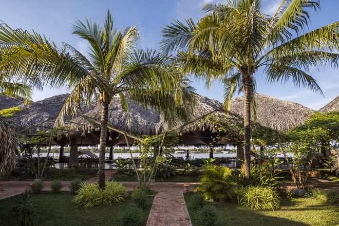 Lối đi vào nhà hàng là cỏ cây xanh mát.