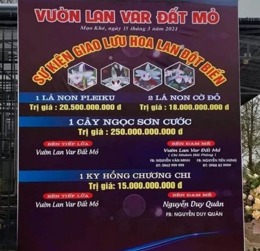 Yeu cau nguoi ban hoa lan dot bien phai ke khai, nop thue