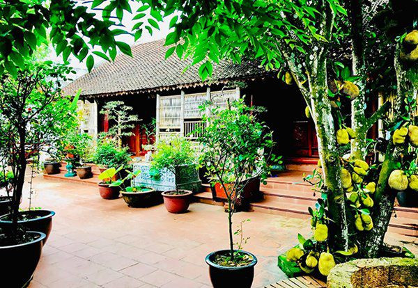 Gần đây, vợ chồng Vượng Râu đưa các con về đây để tránh dịch. Cây xanh chen nhau từ cổng đến sân, vào tận cửa nhà. Ảnh: FBNV